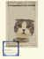 An_co_2008_felis watsoni_tiny